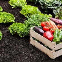 agro_products