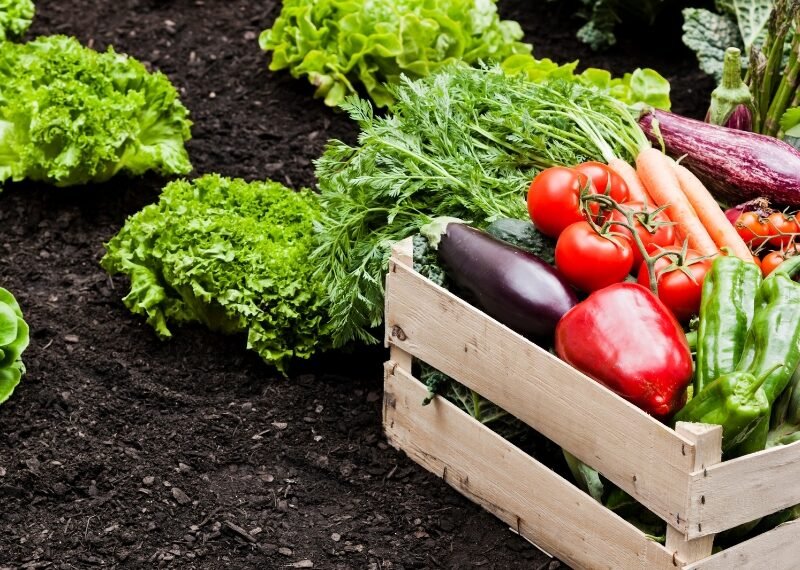 agro_products